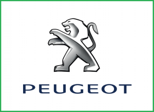 IMAGEM PEUGEOT PNG4